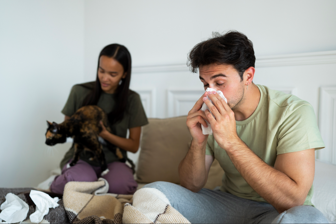 Guida completa alle pulizie di primavera 2026: respira meglio con una pulizia profonda