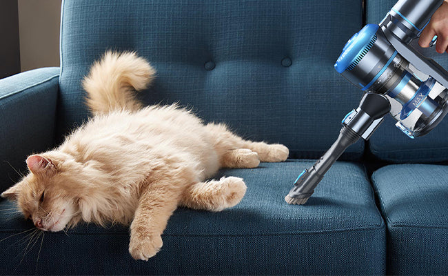 Handheld stofzuigers: overal te gebruiken om kruimels op te ruimen