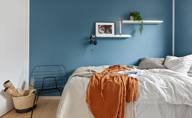 Aspirapolvere per letto e materasso: il tuo modo migliore per rimuovere gli acari e gli insetti